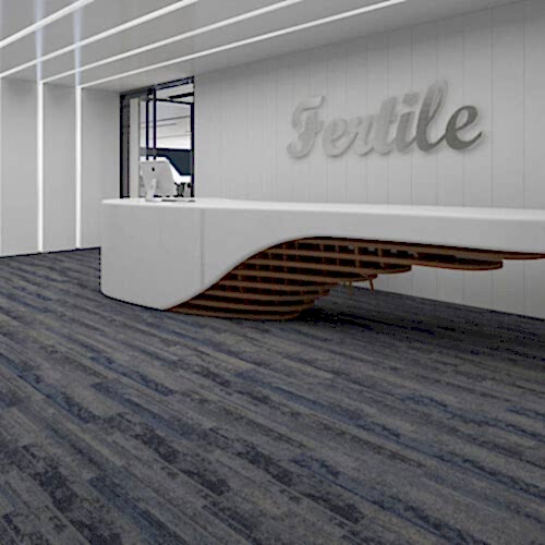 Aristoteles 07 (25x100)