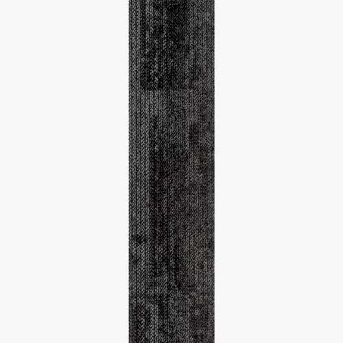 Alternative view of Aristoteles 04 (25x100)