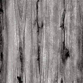 agt_0017s_0000_Agt Bella Neo Vegas 2