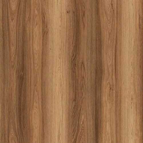 Alternative view of Agt Bella Neo Sardunya