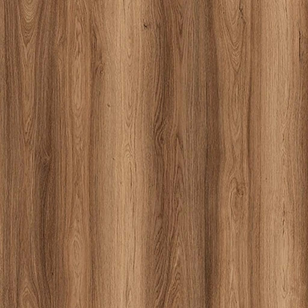 agt_0018s_0000_Agt Bella Neo Sardunya 2