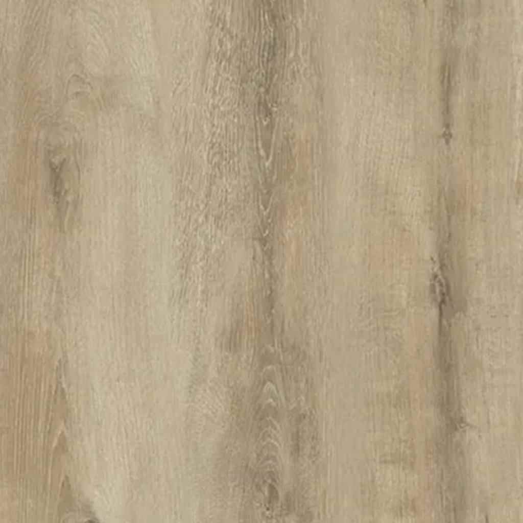 agt_0022s_0000_Agt Bella Neo Gardenya 2