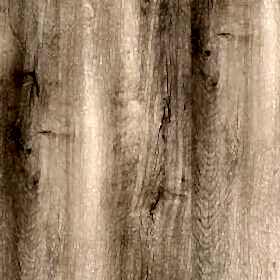 agt_0023s_0001_Agt Bella Neo Frezya 2