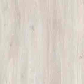 agt_0026s_0001_Agt Bella Neo Anemon 2