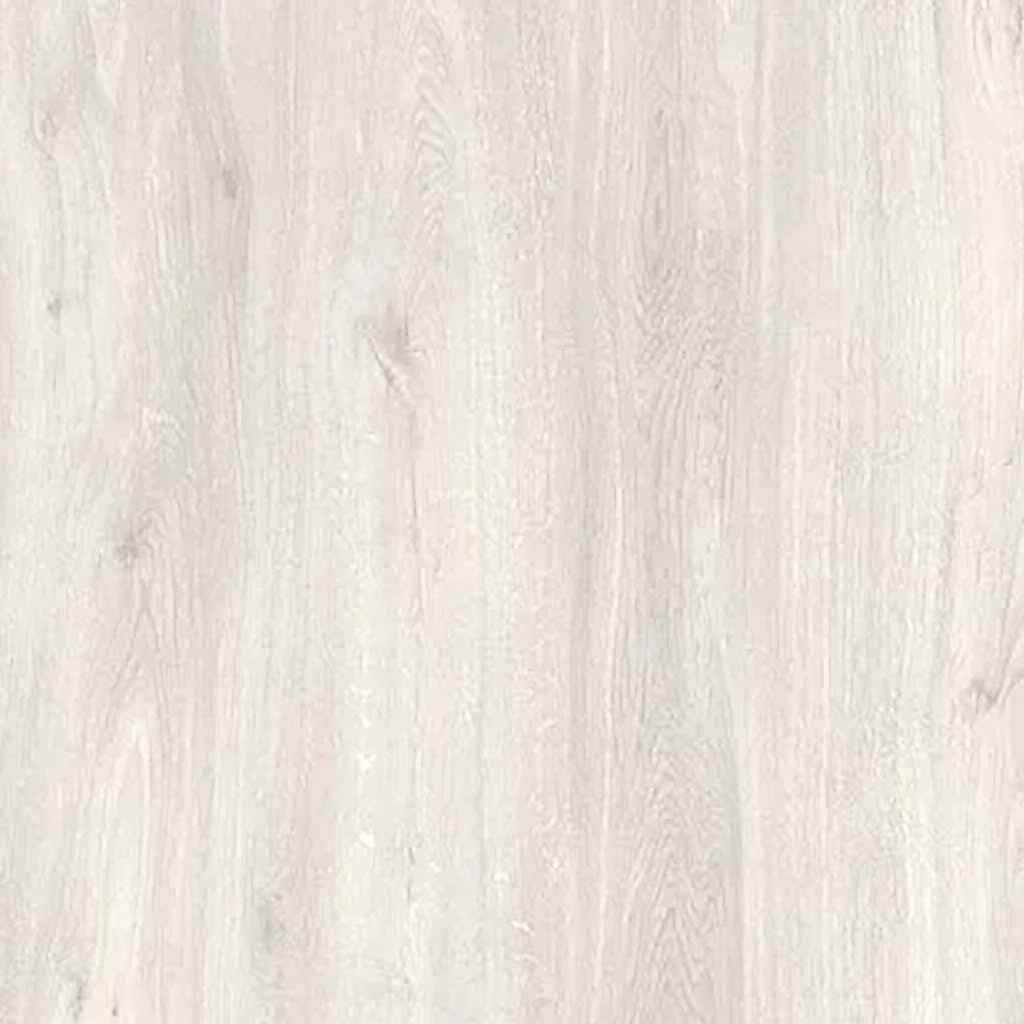 agt_0026s_0001_Agt Bella Neo Anemon 2