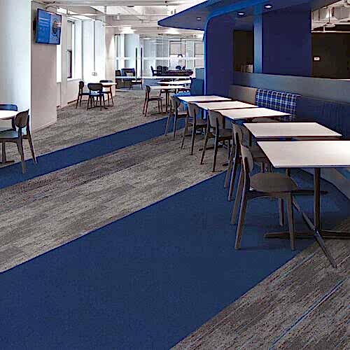 Karo halı Darwin 36 toz akarına karşı dirençlidir.