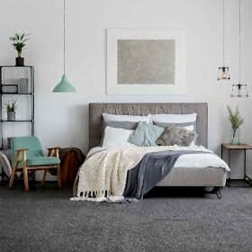 zemincim_0000s_0000_CASANOVA 971