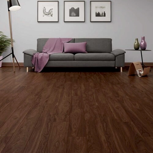 Çamsan Avangard İtalyan Ceviz