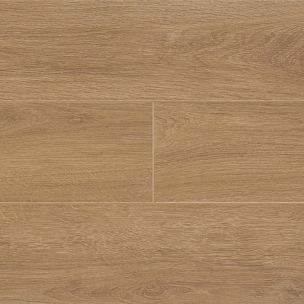 ÇAMSAN-PARKE_0002s_0007s_0001_AVANGARD_ALASKA MEŞE_1