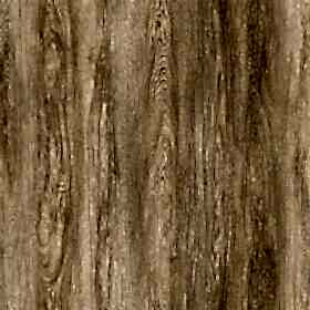 ÇAMSAN-PARKE_0003s_0005s_0001_SILVER_ATLAS MEŞE_1