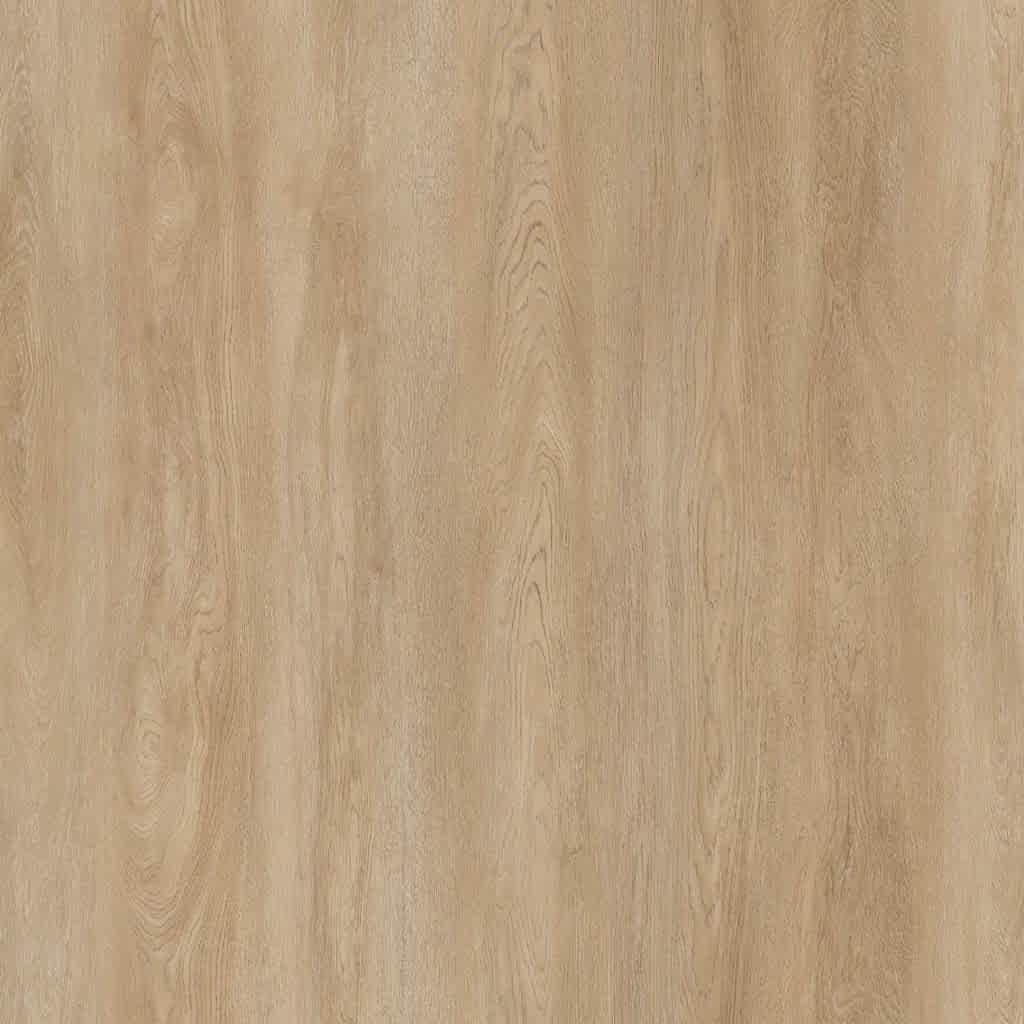 ÇAMSAN-PARKE_0003s_0005s_0001_SILVER_ATLAS MEŞE_1