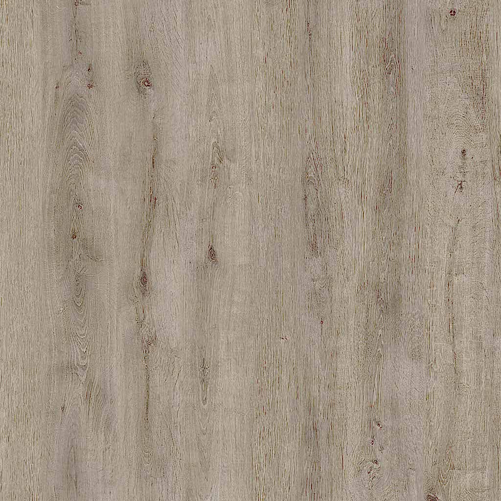 ÇAMSAN-PARKE_0003s_0007s_0000_SILVER_ACAR MEŞE_1