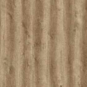 ÇAMSAN-PARKE_0003s_0008s_0000_SILVER _DİDİM MEŞE_1