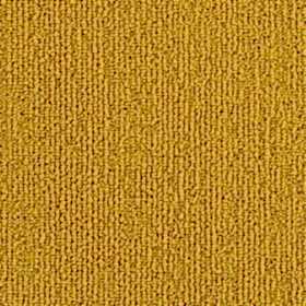 Darwin 33 (25x100cm)1