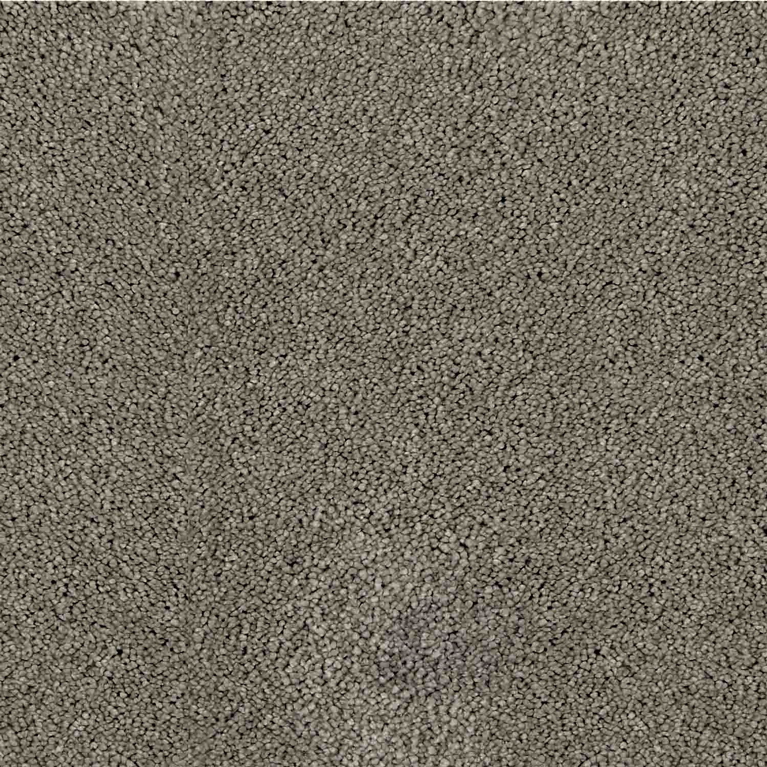 zemincim_0011s_0002_BARSELONA 61 – 1