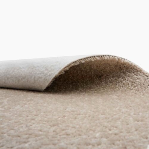 Alternative view of Saturnalia 91