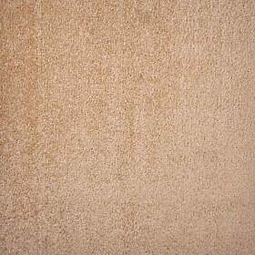 Saturnalia_0059_70- 5