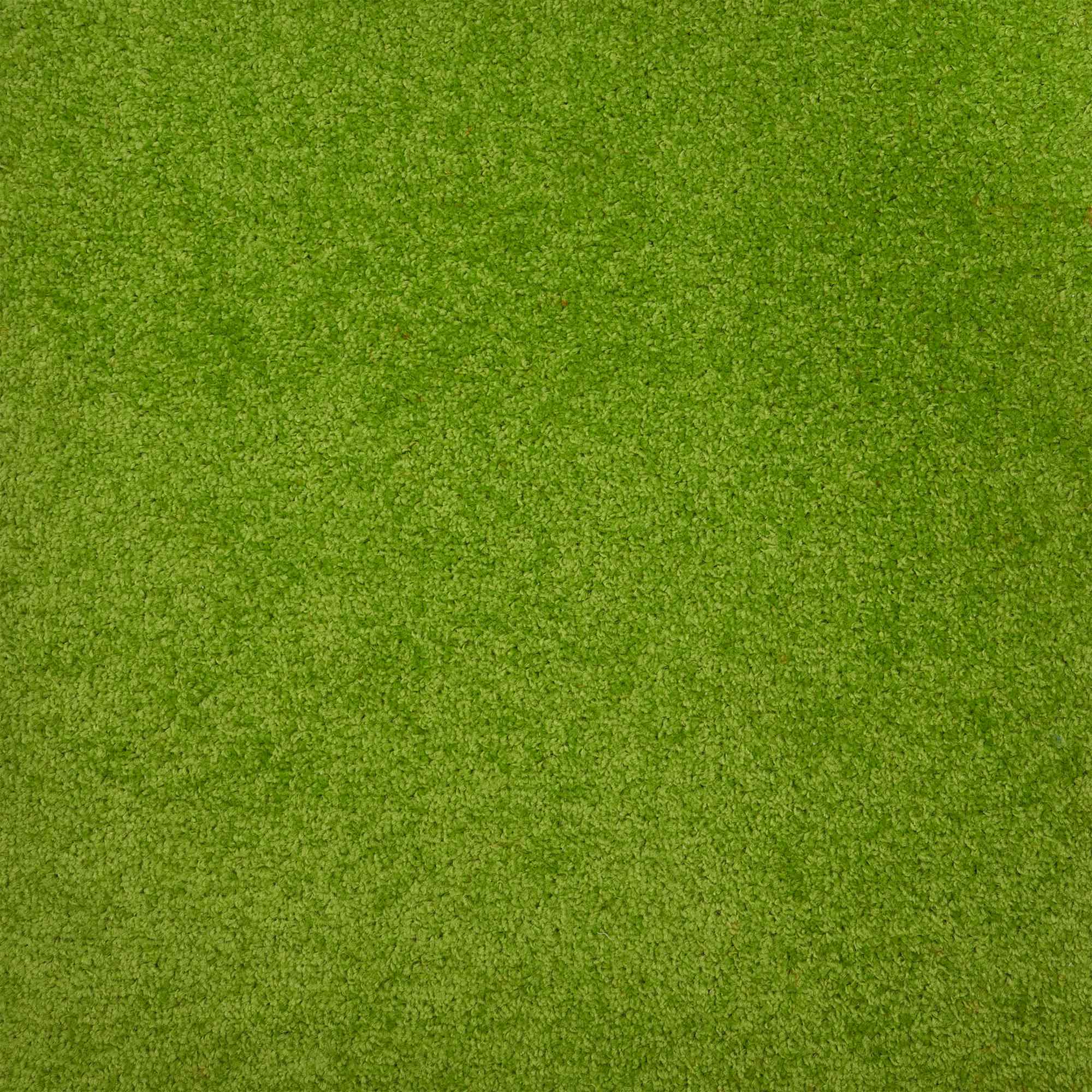 Saturnalia_0076_41-2