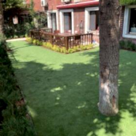 Ege Tutal – 50mm Royal Ultra – Bahçelievlerİstanbul2