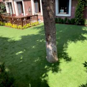 Ege Tutal – 50mm Royal Ultra – Bahçelievlerİstanbul3