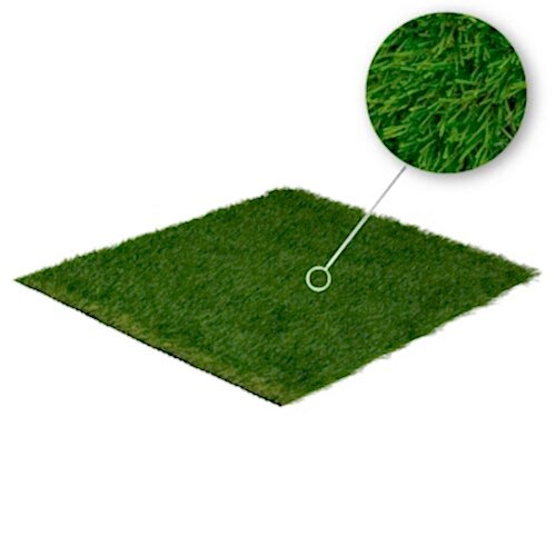 50mm Grand Ultra 2400 gr Sarı Otlu