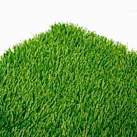 50mmgrandultra_0000s_0002_2