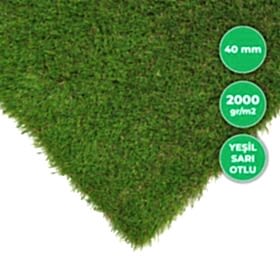 _0000s_0001_Bologna2