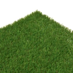 _0000s_0002_Bologna3