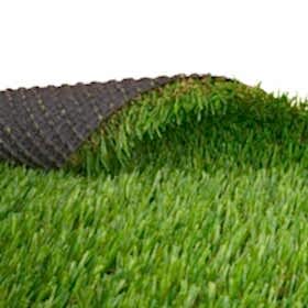 _0000s_0006_Bologna7