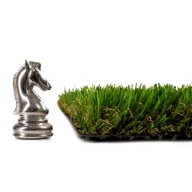 _0000s_0007_Bologna8