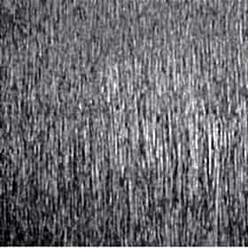 duvarkagıdı_0067s_0001_DECO STYLE 130202 Embosslu