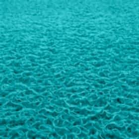 Kıvırcık_0007_ALI08970