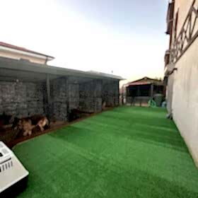 7 mm Düz 1130gr – Burak Bayraktar – Serdivan_Sakarya1