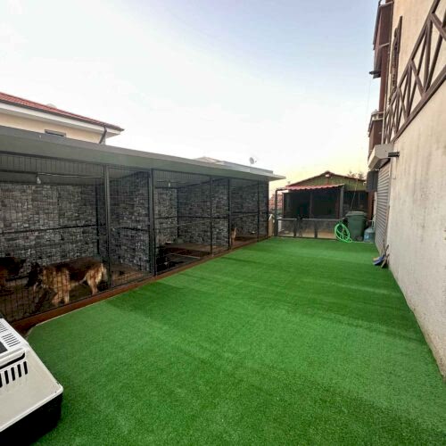 7 mm Düz 1130 gr - Burak Bayraktar - Serdivan / Sakarya