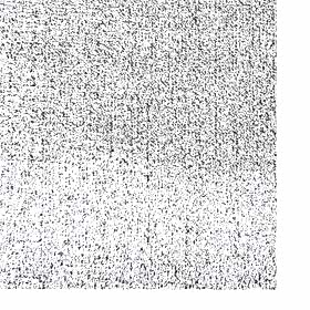 Renkliçimhalı_0006s_0006_BEYAZ2