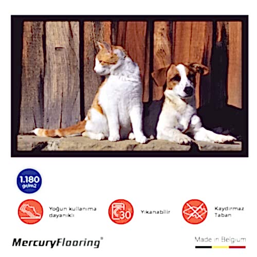 Cat & Dog Velvet Paspas – Dijital Baskılı Şık ve Eğlenceli Giriş Paspası 45×75